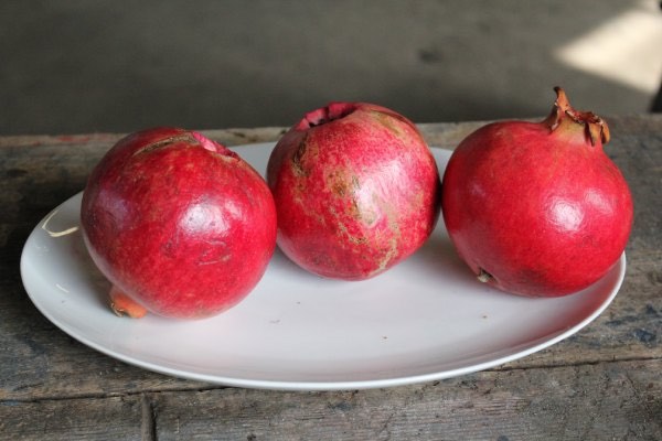 Three whole pomegranates on a white plate with a grey background.