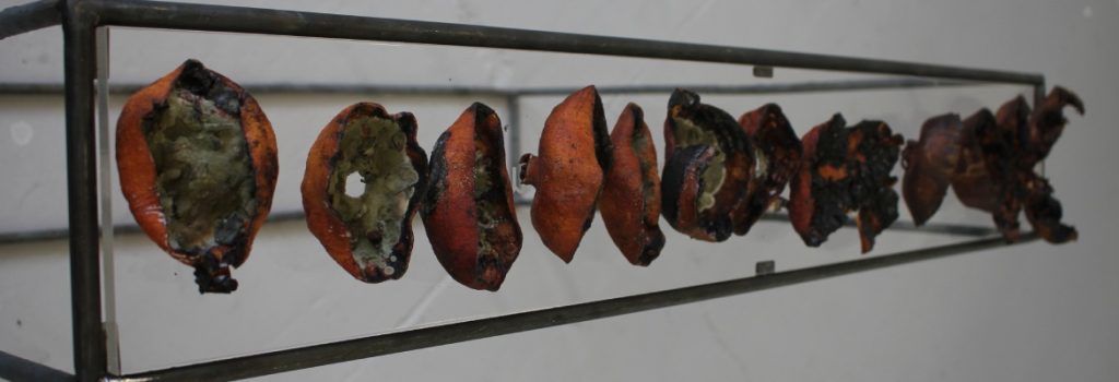 After the process of pouring smelted aluminium into the pomegranates there remains only charred skins with some seeds and mould present inside. These are displayed on a thin rectangular piece of perspex supported by a charred metal frame.