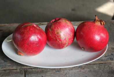 Three pomegranates on a white plate with a grey background. Ready for smelted aluminium to be poured into them to create original 3D sculptured artwork with a mythological theme around Persephone. Bright oranges and reds contrast with the muted background.