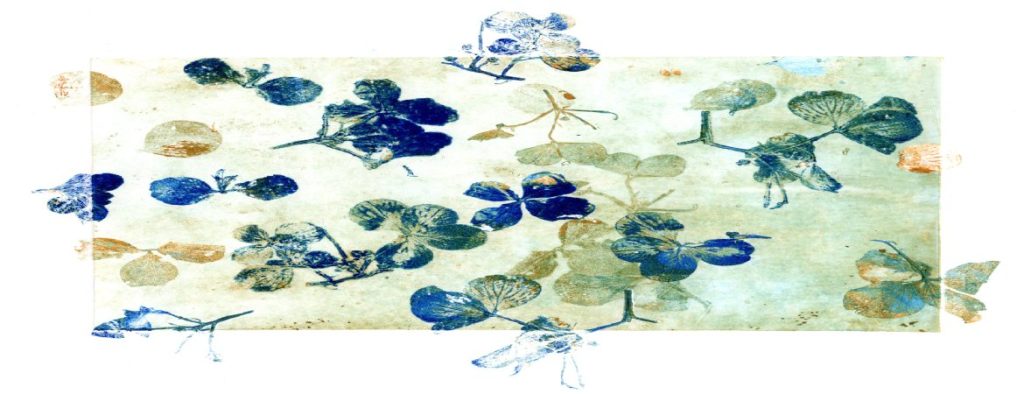 Hydrangea ghostly green and deep blue on a pale green ghostly background