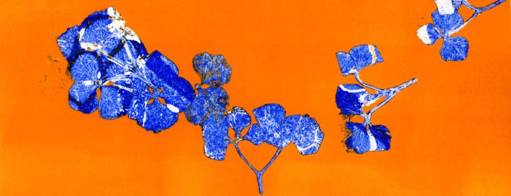 Hydrangea petals in deep blue printed onto a deep orangey yellow back ground
