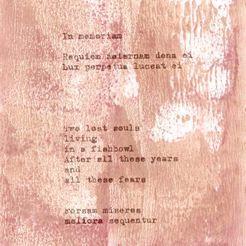 Make up as a printing medium - pinks and peaches. Text overlaid is a quote from a friend's diary, with a response in latin.