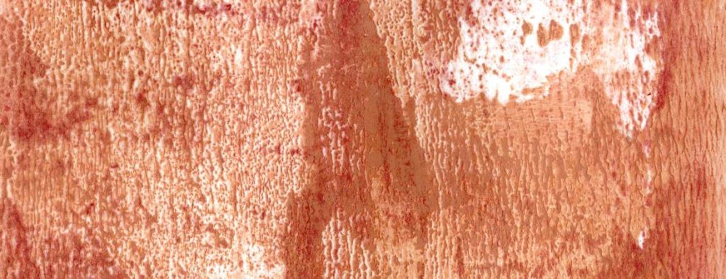 Make up used as a printing medium: peaches, white and deep pinky beige