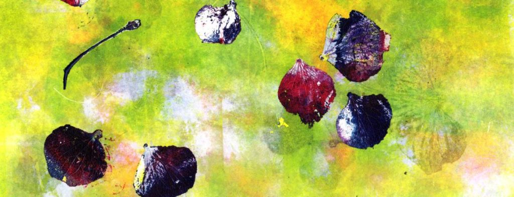 Multi coloured hydrangea petals - yellows, purples with ghost print visible