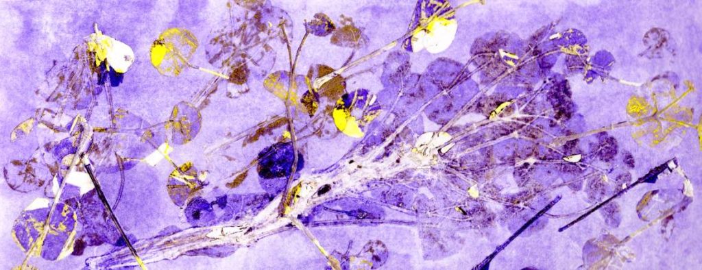 Plants used for printing as monograph. Purples, yellows and ghost print