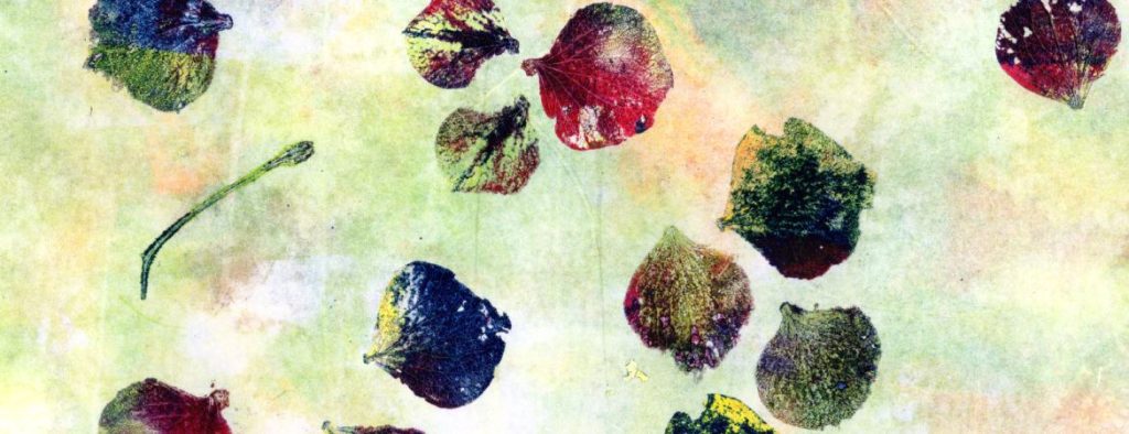 Muted ghost background - pale green and yellow/pink. Hydrangea leaves in purple, red, green and blue